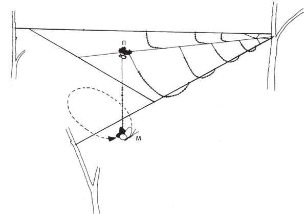 Иллюстрация к книге — Восхождение на гору Невероятности [i_025.jpg]
