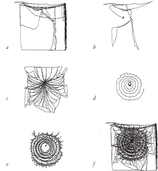 Иллюстрация к книге — Восхождение на гору Невероятности [i_027.jpg]