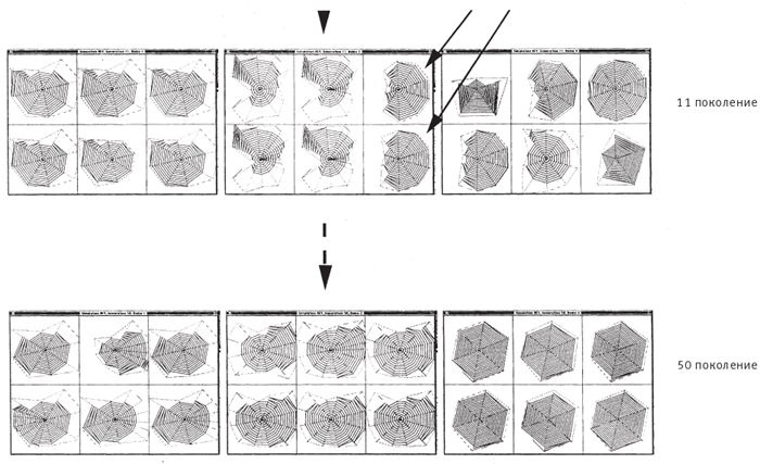Иллюстрация к книге — Восхождение на гору Невероятности [i_031.jpg]