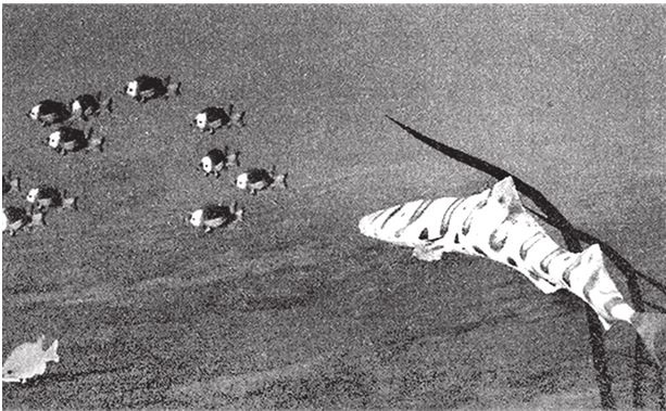 Иллюстрация к книге — Восхождение на гору Невероятности [i_033.jpg]