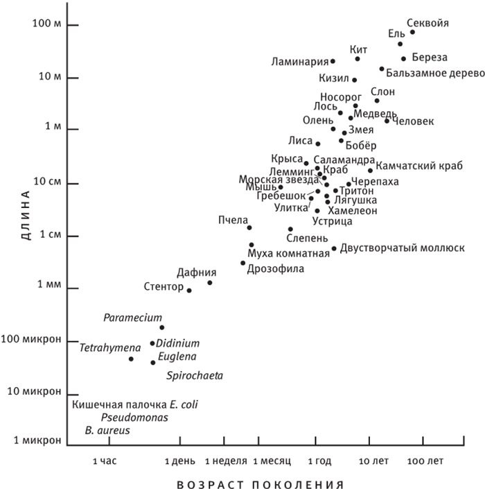 Иллюстрация к книге — Восхождение на гору Невероятности [i_037.jpg]