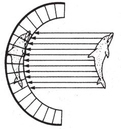 Иллюстрация к книге — Восхождение на гору Невероятности [i_048.jpg]