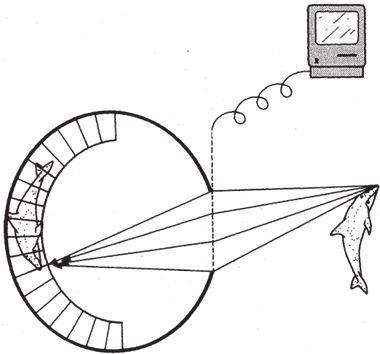 Иллюстрация к книге — Восхождение на гору Невероятности [i_052.jpg]