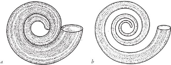 Иллюстрация к книге — Восхождение на гору Невероятности [i_078.jpg]