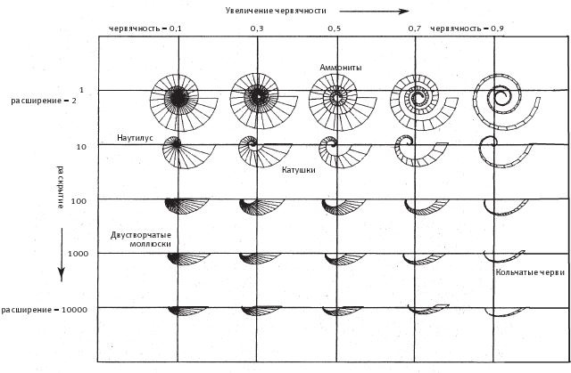 Иллюстрация к книге — Восхождение на гору Невероятности [i_080.jpg]