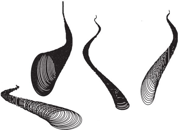 Иллюстрация к книге — Восхождение на гору Невероятности [i_089.jpg]