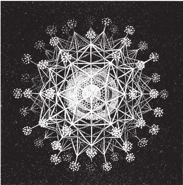 Иллюстрация к книге — Восхождение на гору Невероятности [i_098.jpg]