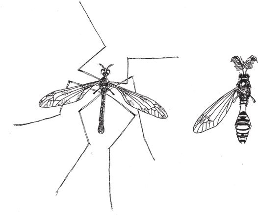 Иллюстрация к книге — Восхождение на гору Невероятности [i_103.jpg]