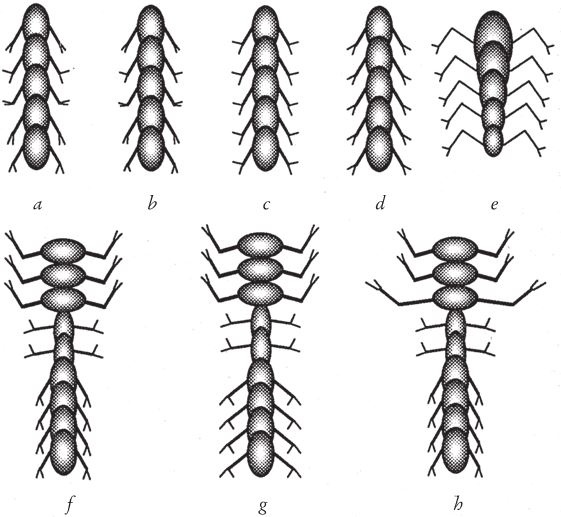Иллюстрация к книге — Восхождение на гору Невероятности [i_105.jpg]
