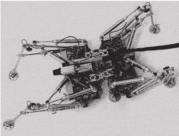 Иллюстрация к книге — Восхождение на гору Невероятности [i_119.jpg]