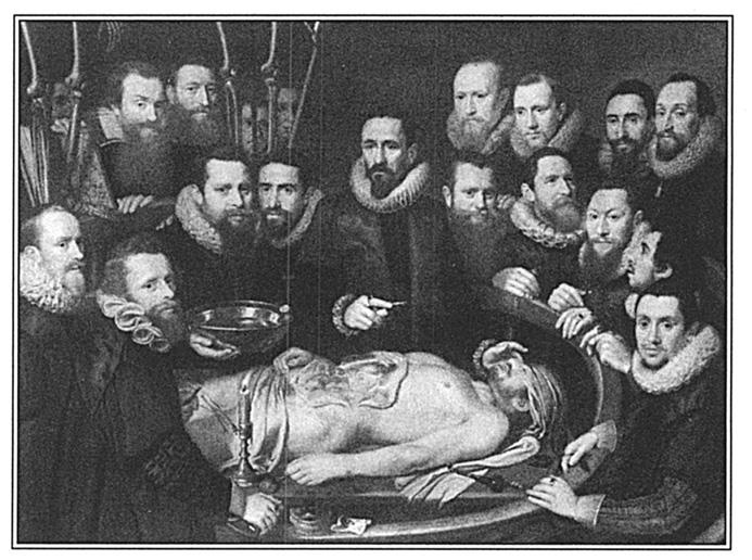 Иллюстрация к книге — Игры тестостерона и другие вопросы биологии поведения [i_009.jpg]