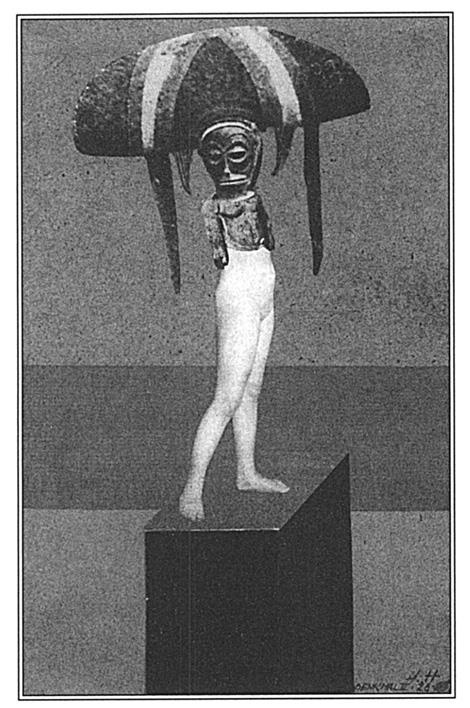 Иллюстрация к книге — Игры тестостерона и другие вопросы биологии поведения [i_019.jpg]