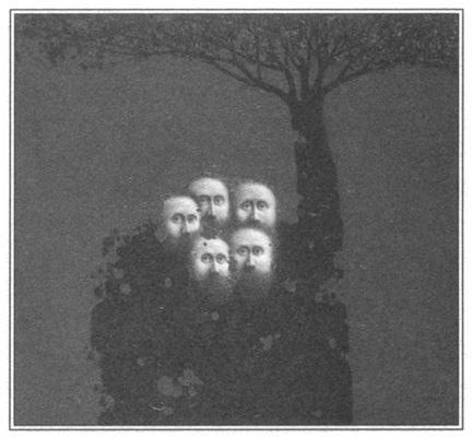 Иллюстрация к книге — Игры тестостерона и другие вопросы биологии поведения [i_025.jpg]