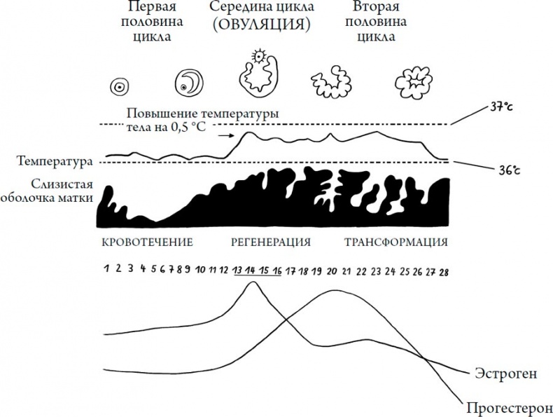 Иллюстрация к книге — Человек Противный [i_082.jpg]