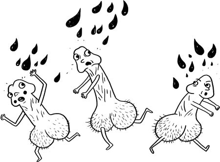 Иллюстрация к книге — Человек Противный [i_084.jpg]