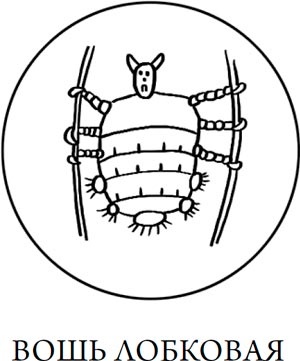 Иллюстрация к книге — Человек Противный [i_134.jpg]