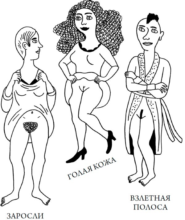 Иллюстрация к книге — Человек Противный [i_202.jpg]