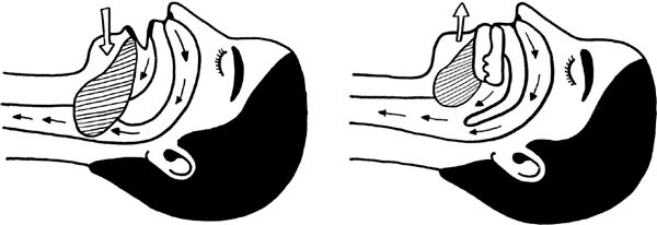 Иллюстрация к книге — Человек Противный [i_282.jpg]