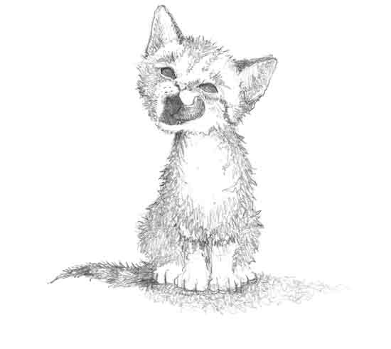 Иллюстрация к книге — Котенок Сэмми, или Семья для крохи [block_00114468.jpg]