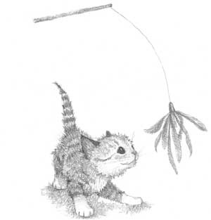 Иллюстрация к книге — Котенок Сэмми, или Семья для крохи [block_0011447.jpg_1.jpg]