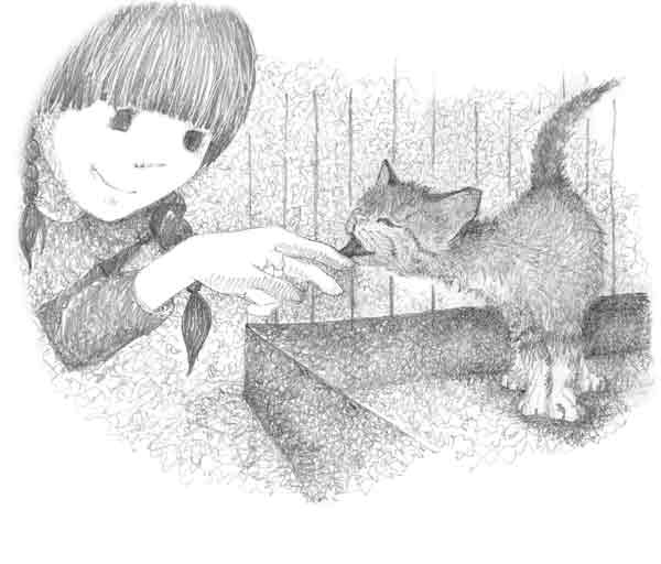 Иллюстрация к книге — Котенок Сэмми, или Семья для крохи [block_00114490.jpg]