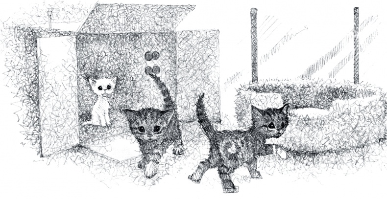 Иллюстрация к книге — Котёнок Роззи, или Острый нюх [i_008.jpg]