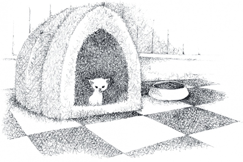 Иллюстрация к книге — Котёнок Роззи, или Острый нюх [i_016.jpg]