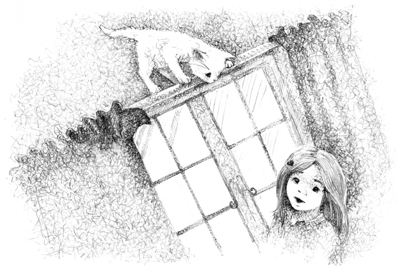 Иллюстрация к книге — Котёнок Роззи, или Острый нюх [i_018.jpg]