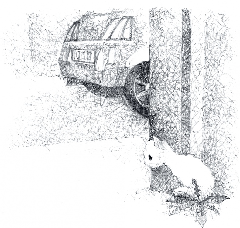 Иллюстрация к книге — Котёнок Роззи, или Острый нюх [i_023.jpg]