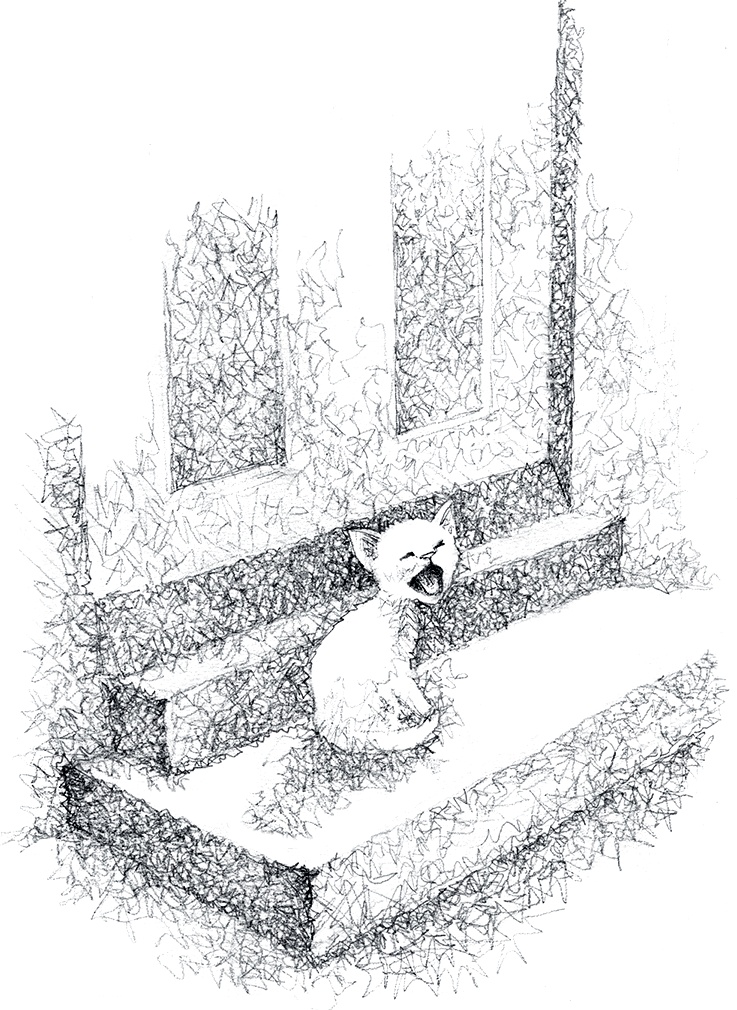 Иллюстрация к книге — Котёнок Роззи, или Острый нюх [i_031.jpg]