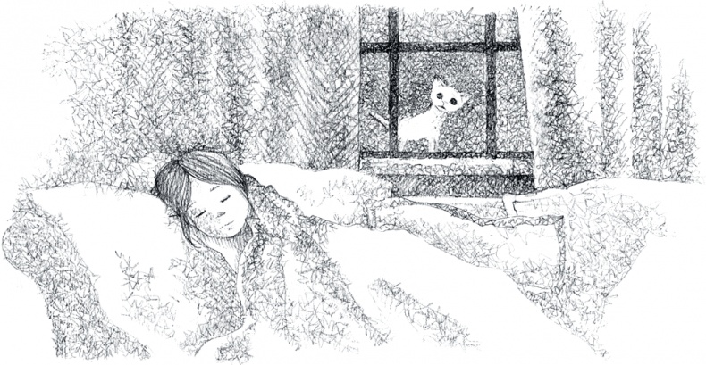 Иллюстрация к книге — Котёнок Роззи, или Острый нюх [i_032.jpg]