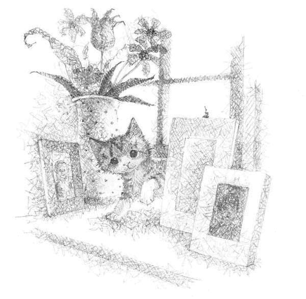 Иллюстрация к книге — Котёнок Чарли, или Хвостатый бродяга [i_022.jpg]