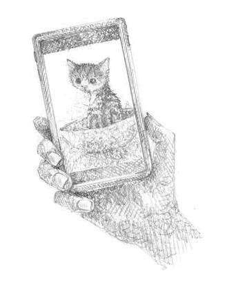 Иллюстрация к книге — Котёнок Чарли, или Хвостатый бродяга [i_025.jpg]