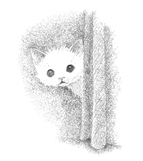 Иллюстрация к книге — Котёнок Стенли, или Настоящий клад [block_001144112.jpg]