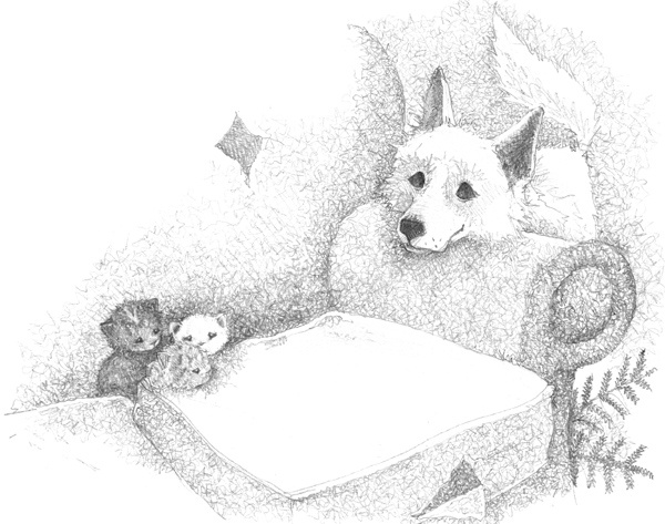 Иллюстрация к книге — Котёнок Стенли, или Настоящий клад [block_00114434.jpg]