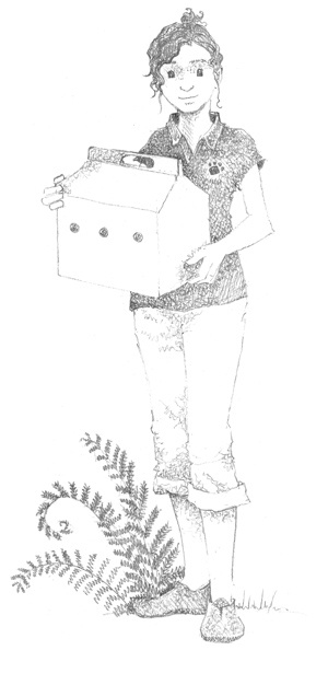 Иллюстрация к книге — Котёнок Стенли, или Настоящий клад [block_00114460.jpg]