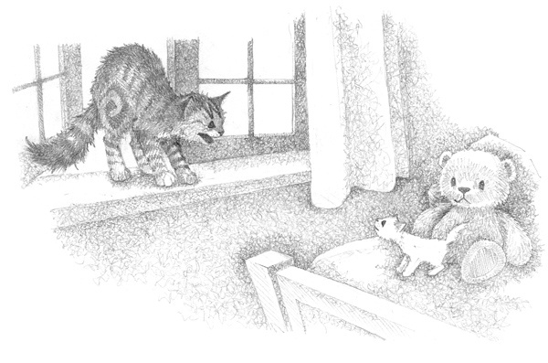 Иллюстрация к книге — Котёнок Стенли, или Настоящий клад [block_00114493.jpg]