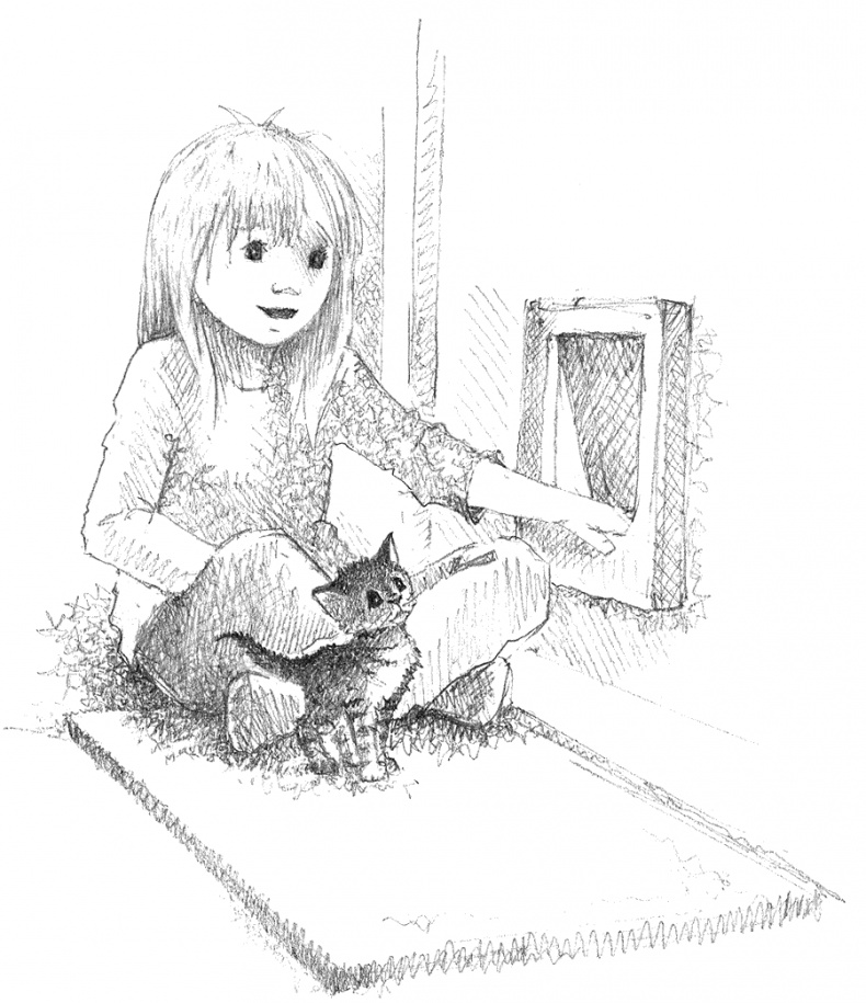 Иллюстрация к книге — Котёнок Тигр, или Искатель приключений [i_019.jpg]