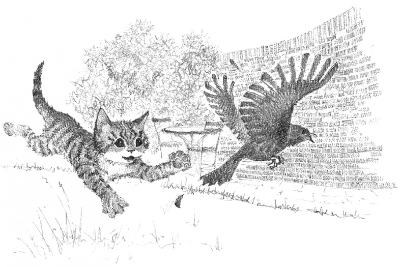 Иллюстрация к книге — Котёнок Тигр, или Искатель приключений [i_024.jpg]