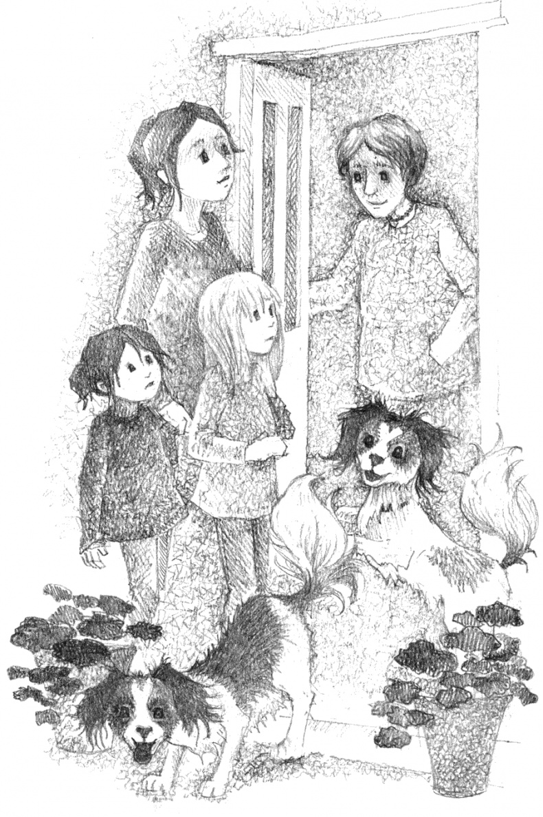 Иллюстрация к книге — Котёнок Тигр, или Искатель приключений [i_032.jpg]