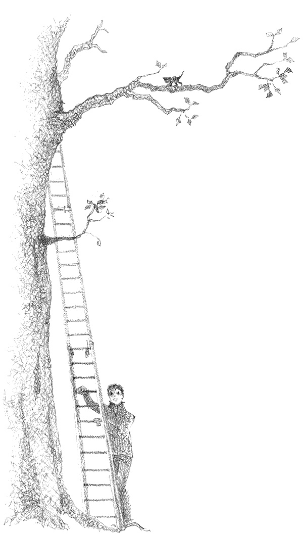 Иллюстрация к книге — Котёнок Тигр, или Искатель приключений [i_050.jpg]