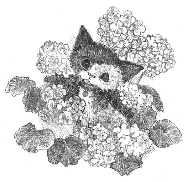 Иллюстрация к книге — Котёнок Клео, или Путешествие непоседы [i_006.jpg]