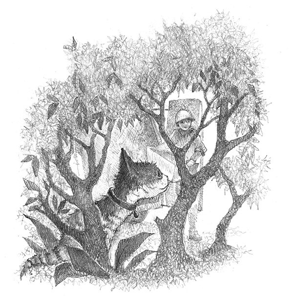 Иллюстрация к книге — Котёнок Клео, или Путешествие непоседы [i_012.jpg]