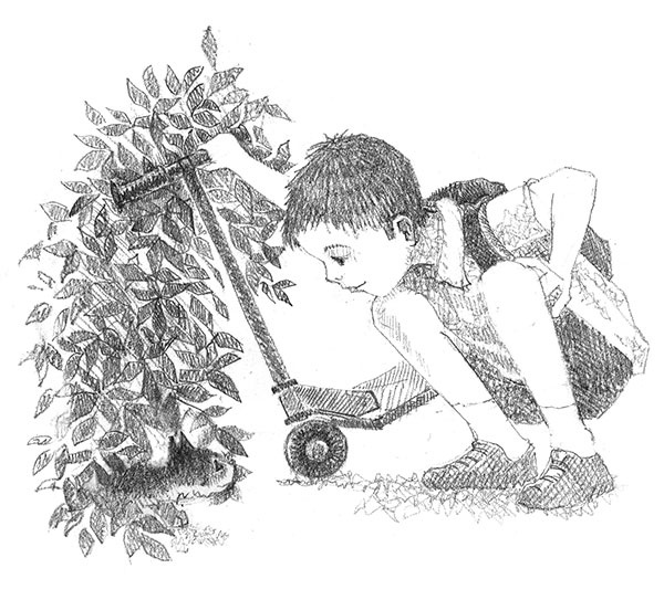 Иллюстрация к книге — Котёнок Клео, или Путешествие непоседы [i_030.jpg]