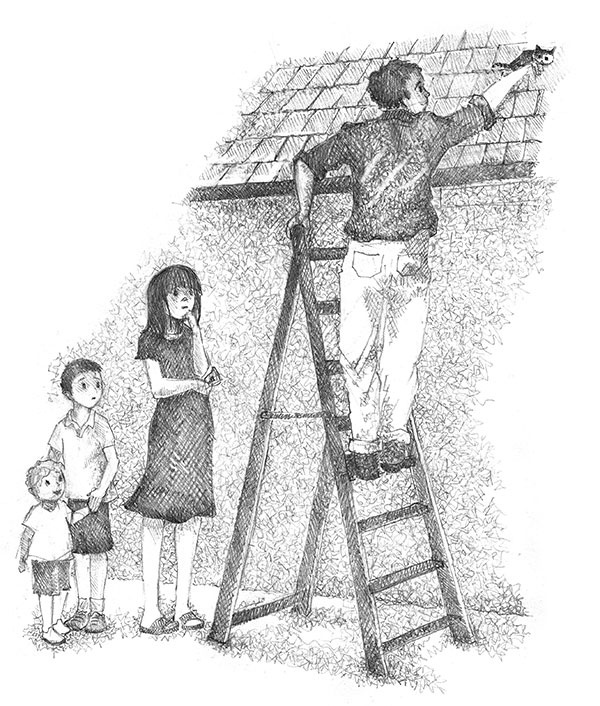 Иллюстрация к книге — Котёнок Клео, или Путешествие непоседы [i_038.jpg]