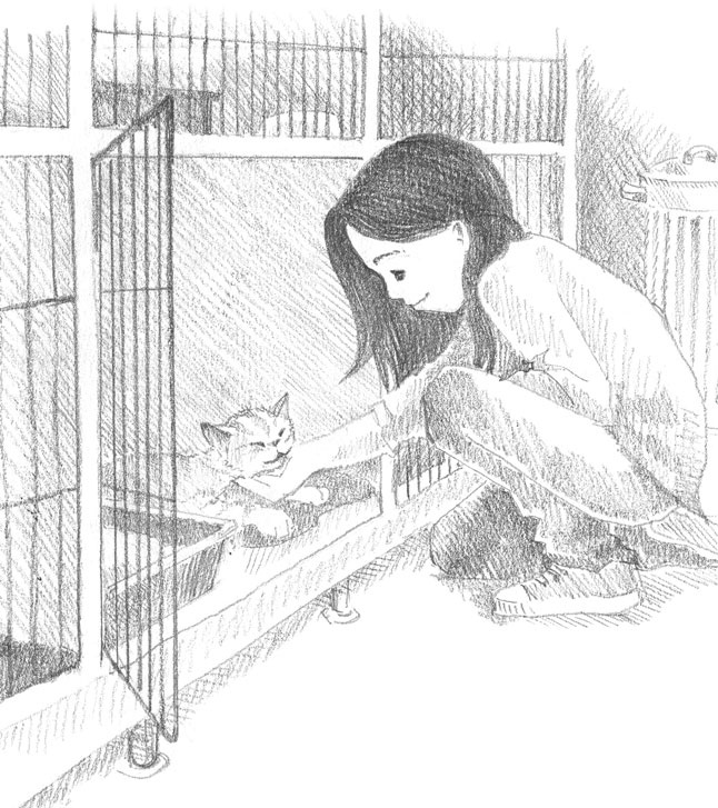 Иллюстрация к книге — Котёнок Сильвер, или Полосатый храбрец [_10.jpg]