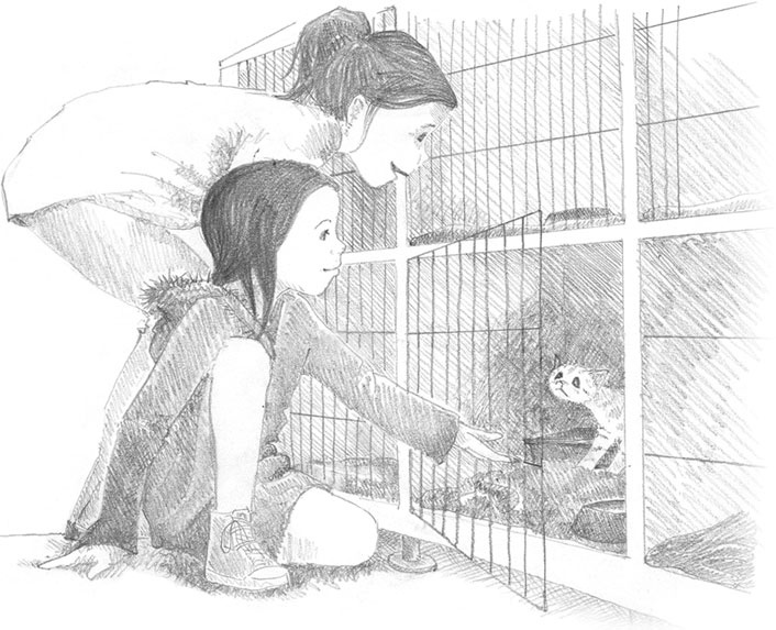 Иллюстрация к книге — Котёнок Сильвер, или Полосатый храбрец [_16.jpg]