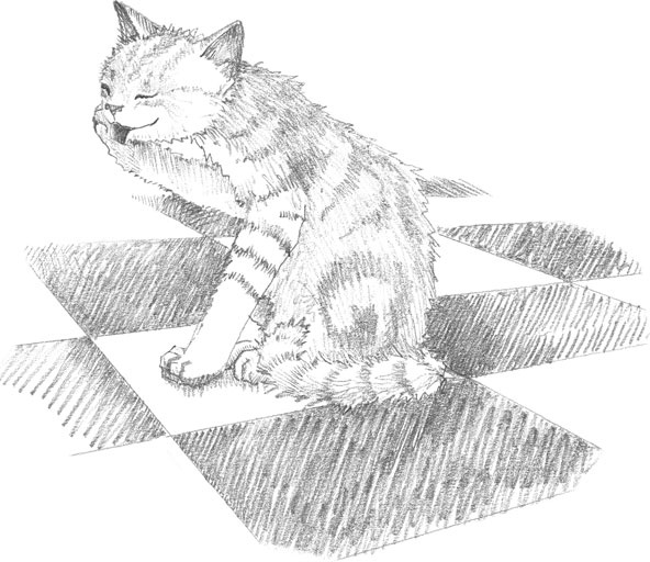 Иллюстрация к книге — Котёнок Сильвер, или Полосатый храбрец [_19.jpg]