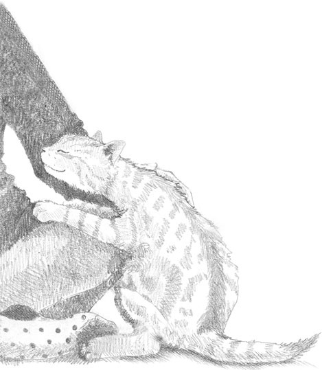 Иллюстрация к книге — Котёнок Сильвер, или Полосатый храбрец [_25.jpg]