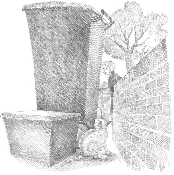 Иллюстрация к книге — Котёнок Сильвер, или Полосатый храбрец [_32.jpg]